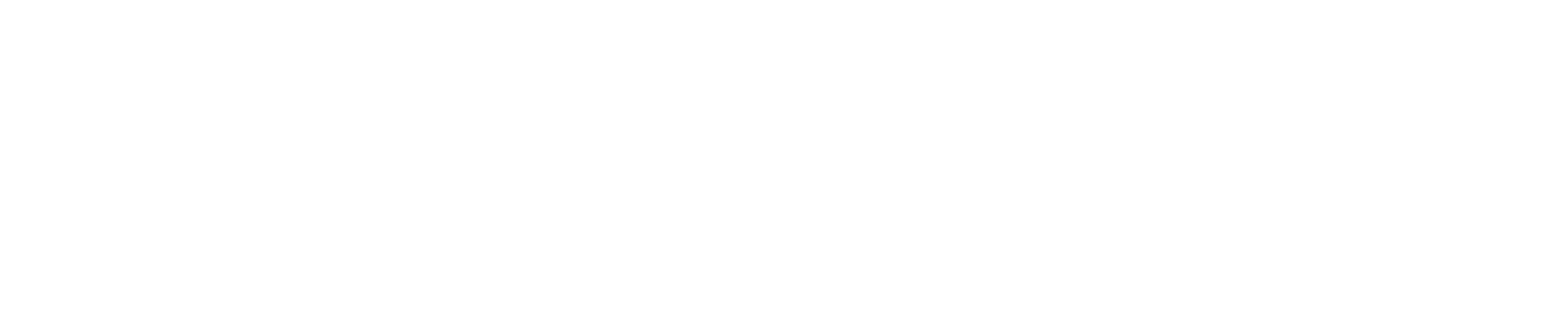 Netskope Corporate Identity